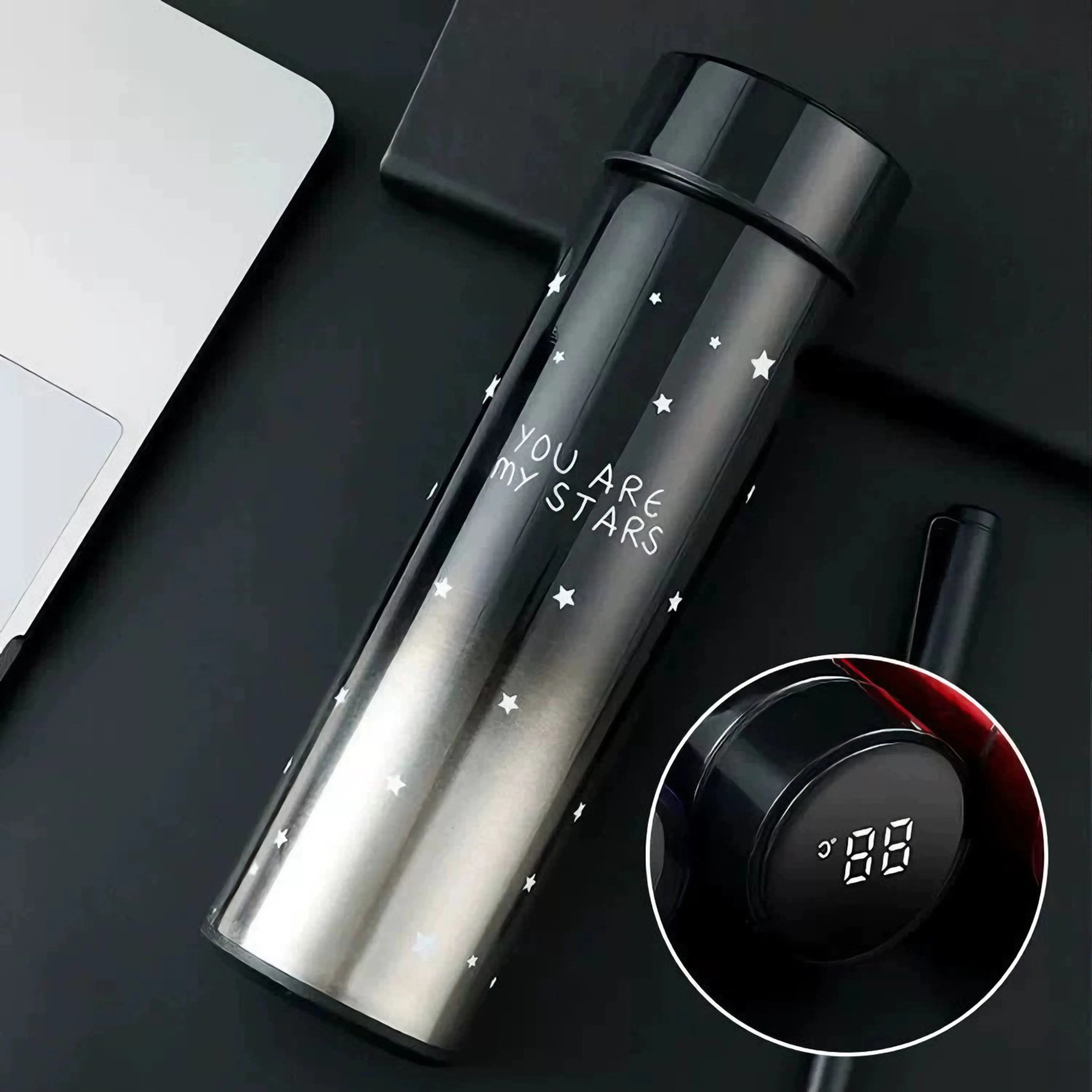Sticlă Termos Smart 500ml cu Display LED